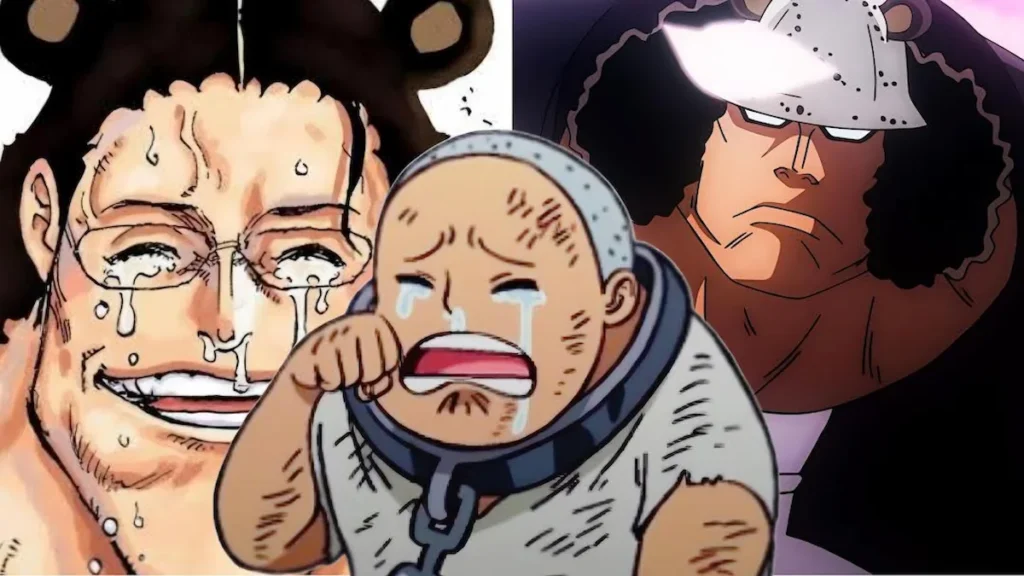 One Piece Kuma Back Story