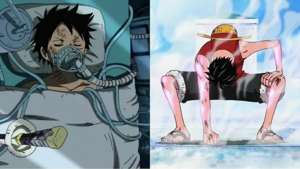 Luffy Lifespan Reduction Theory