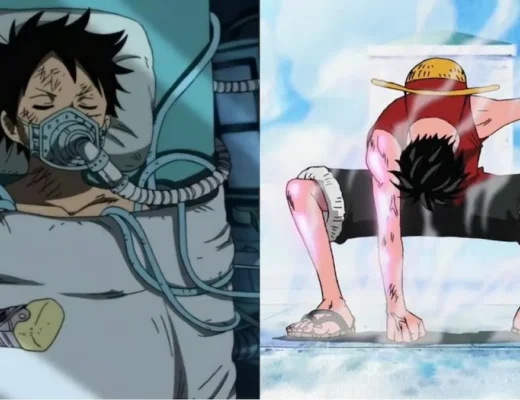Luffy Lifespan Reduction Theory